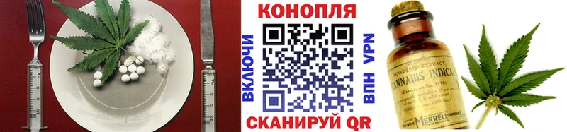 shop телеграм  Шилка  Cannafood марихуана 