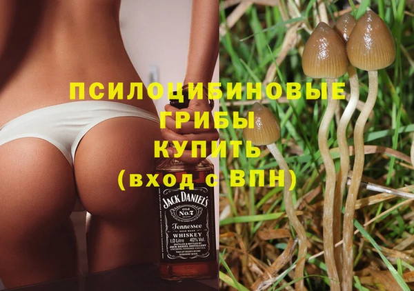 каннабис Каменка