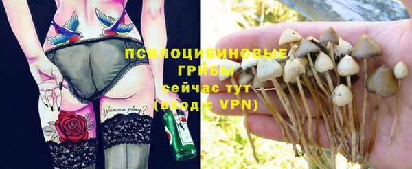 apvp Мегион