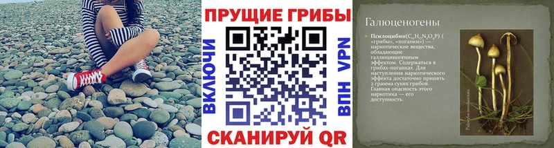 Псилоцибиновые грибы GOLDEN TEACHER  купить   Шилка 